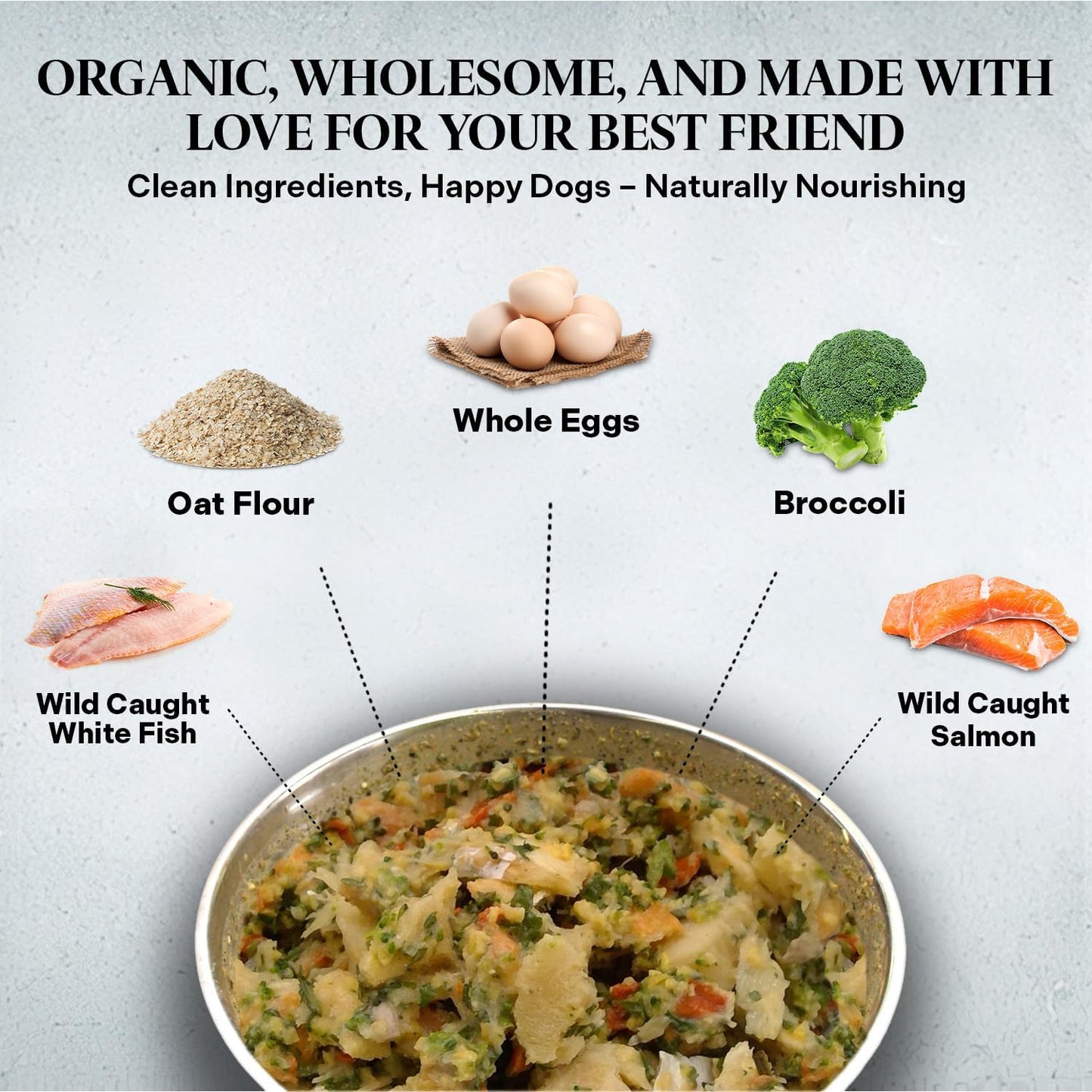 Healthy Dogma - PetMix Dehydrated Dog Food – Fish Dinner with Wild-Caught Alaskan Salmon & Whitefish – Clean Ingredient Dog Food – No Preservatives 10lbs (Bucket)