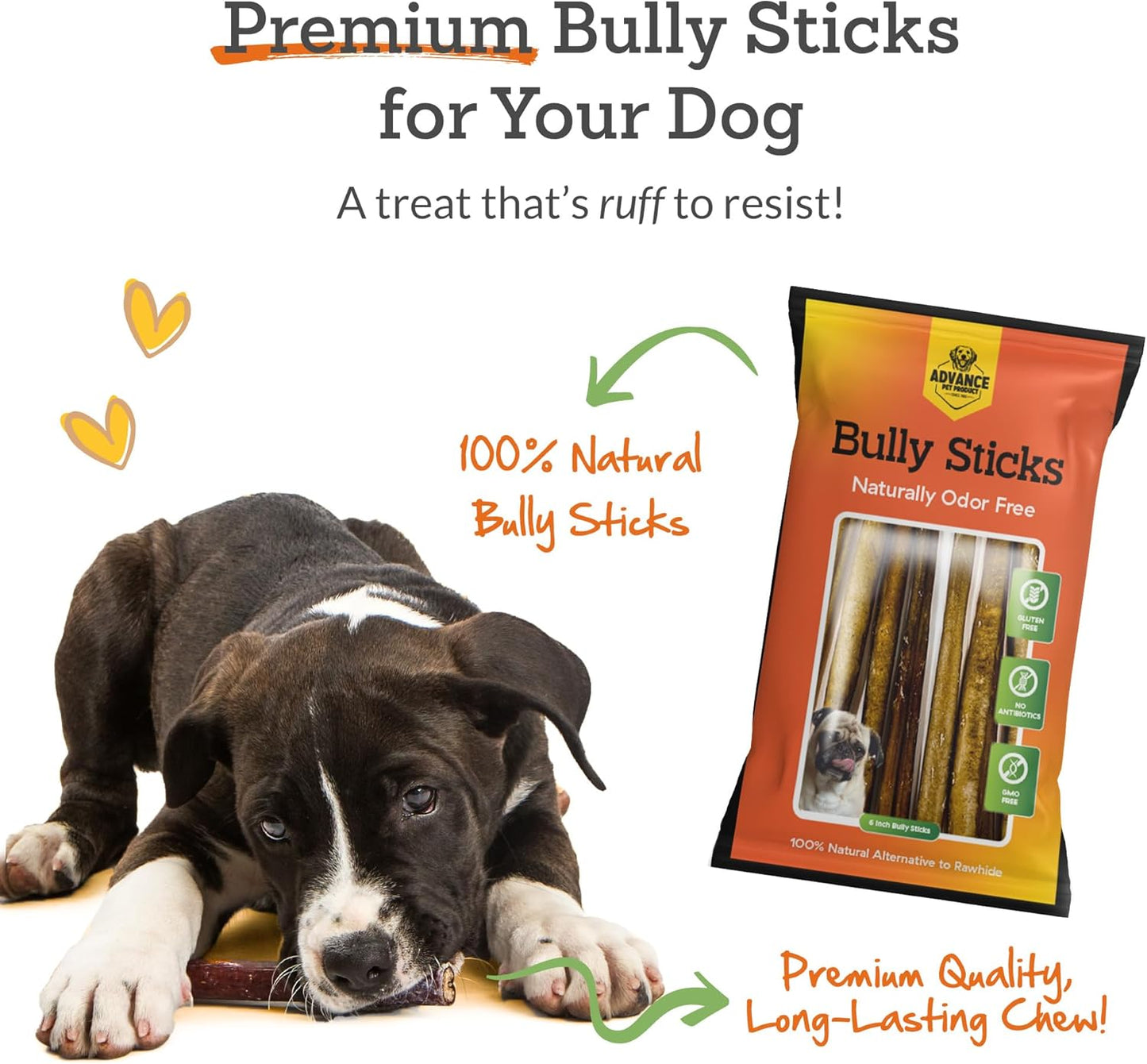 Advance Pet Products 12 Inch Bully Sticks (Pack of 5) - 100% Beef, Odor Free Dog Chews for Aggressive Chewers - Long Lasting, Gluten-Free, Easy to Digest, High Protein - for Small, Medium, Large Dogs