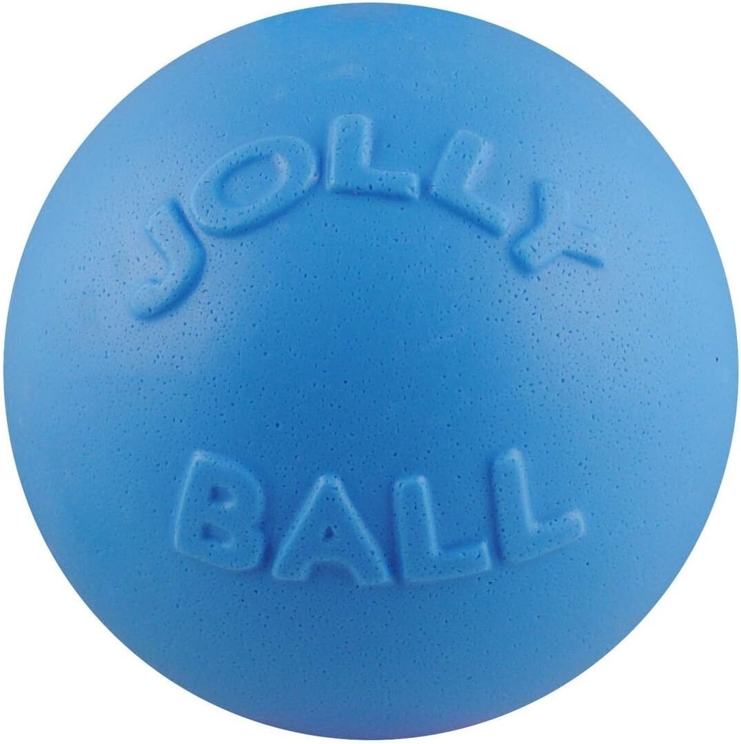 Jolly Pets Bounce-n-Play Dog Toy Ball, 6 Inches, Blueberry, All Breed Sizes