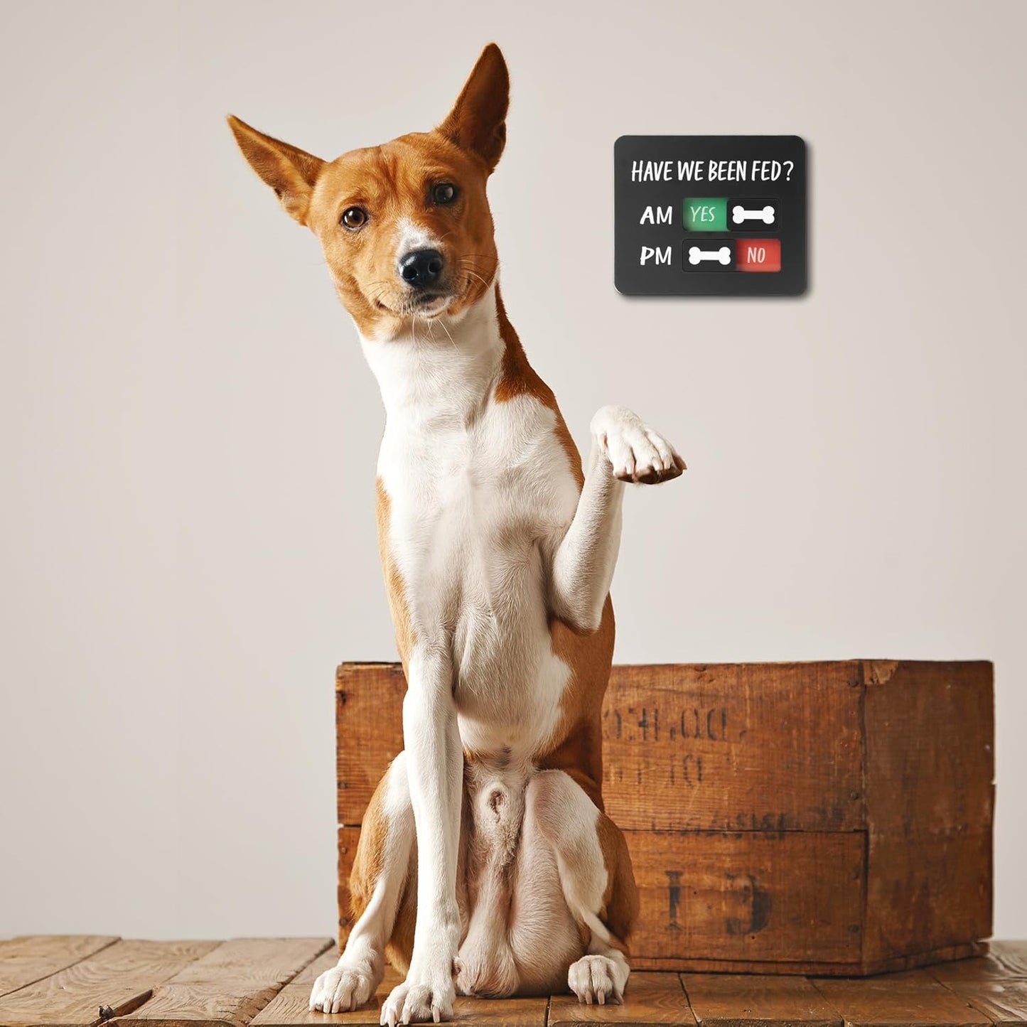 Dog Feeding Reminder Sign with Magnet, Pet Feed Tracker with Have We Been Fed, Acrylic Dog Paw Slider Sign for Fridge, AM PM Feed Sign with Yes No Option, Black with 2 Stickers, 4.7" x 3.9"