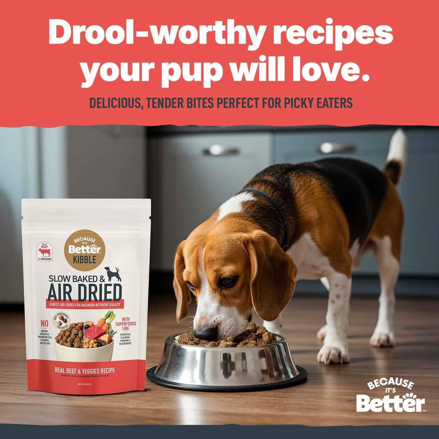 Because it's Better Slow Baked and Air Dried Dog Food, Real Beef and Veggies, 1lb Bag, Complete and Balanced Dry Dog Food, for All Life Stages