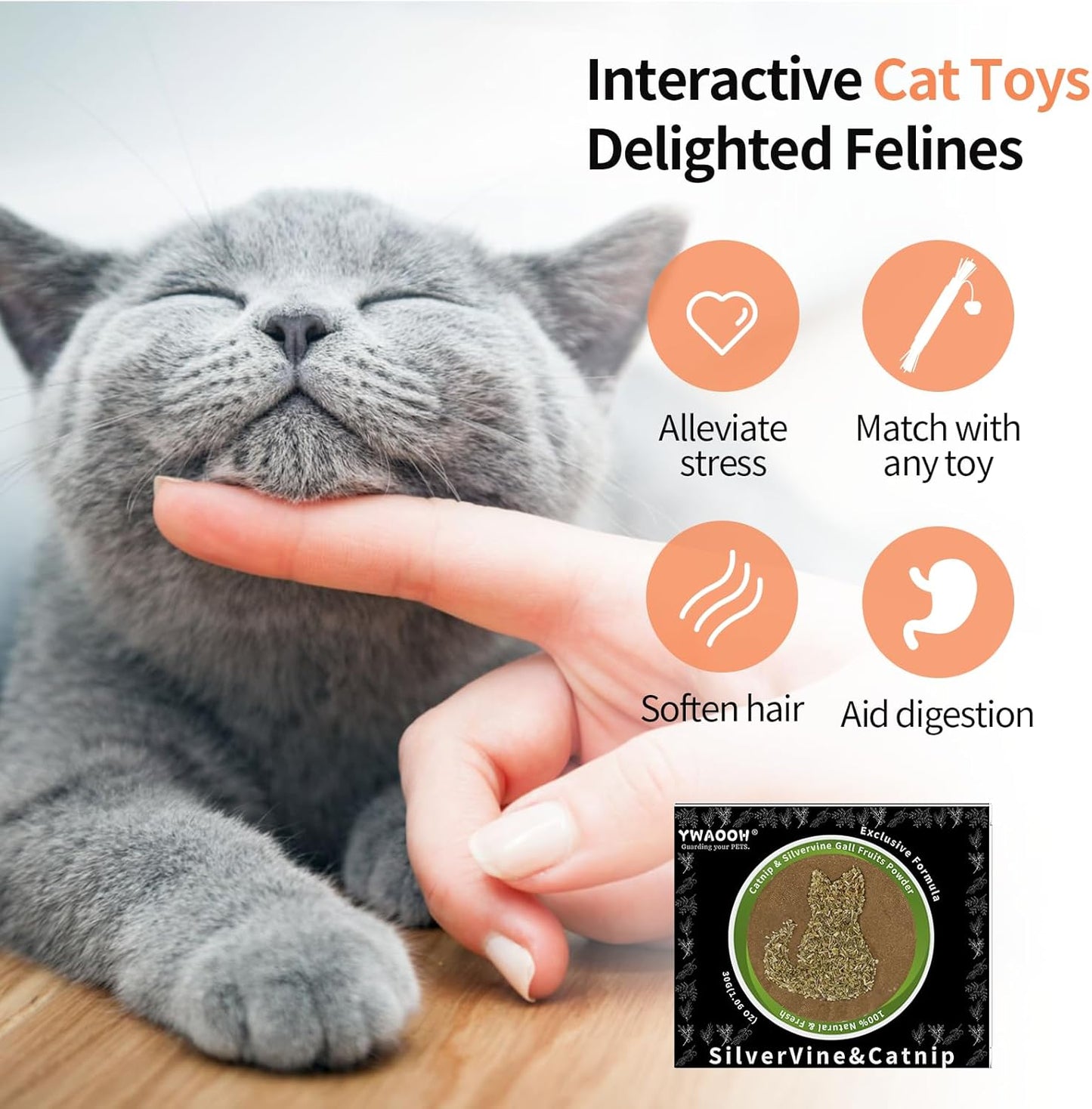 Catnip & Silvervine Powder – 30g Blend of Silvervine Gall Fruit & Catnip, Non-Addictive, for All Cat Ages, Multi-Use with Toys, Scratchers & Protecting Furniture, with 5 Little Pouches