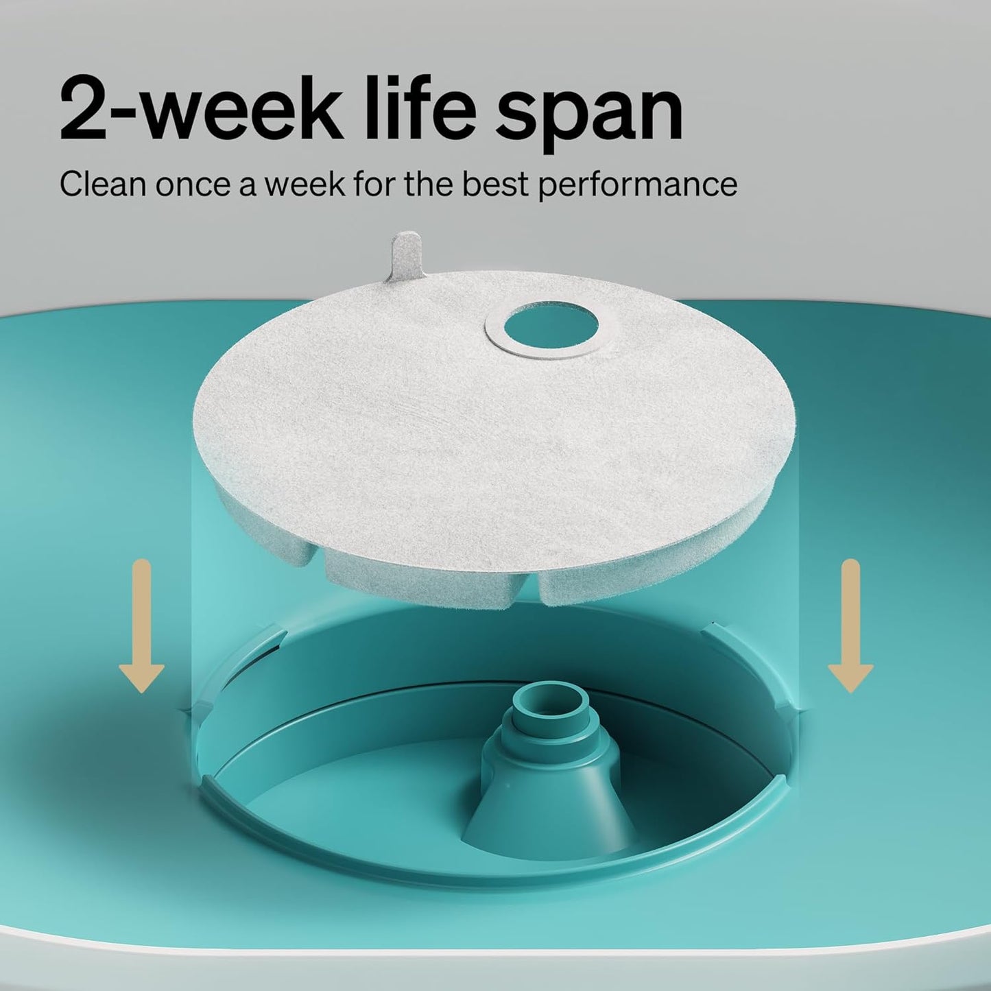 PETLIBRO Replacement Filters for Capsule Dog Fountain PLWF008, 4 Month Set of Filters for Dog Water Dispensers, 8 Count Pack, White