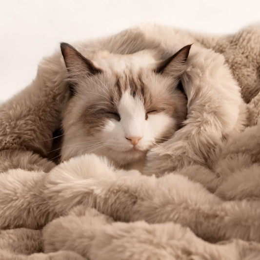 Dog Blanket Ultra Soft Fuzzy Faux Fur Cat Blankets for Indoor Cats Ultra Soft Plush Faux Fur Machine Washable Reversible Pet Throw Protector for Couch Furniture 39"X 30" Coffee