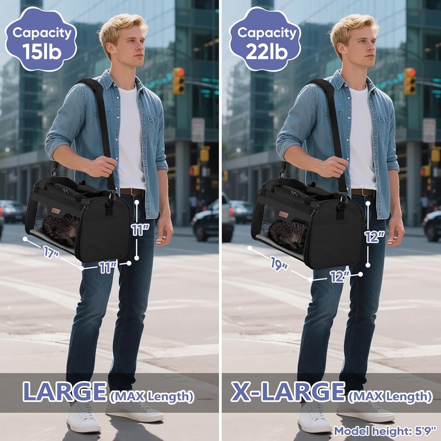 BALEINE Cat Carrier, Puppy Dog Carrier for Small Medium Pets Up to 22 Lbs, Soft-Sided Dog Travel Bag with Safety Zippers, Collapsible Pet Carrying Case (Black, XL, 19"x12"x12")