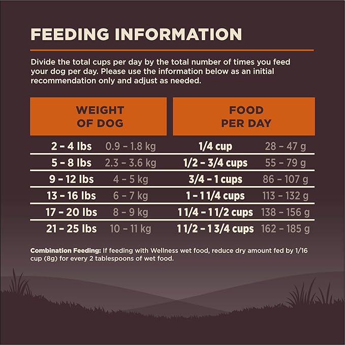 Wellness CORE Dry Dog Food, Small Breed, Grain-Free, High Protein, Natural, Original Turkey & Chicken Recipe, (4-Pound Bag)