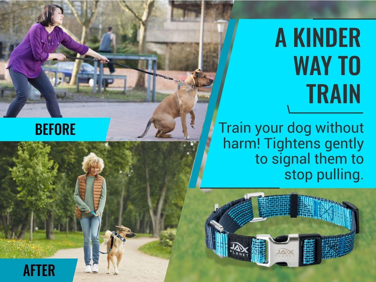 Orange Martingale Collar for Dogs - Heavy Duty Nylon Pet Collars for Escape-Free, No Pull Training & Walking with Alloy Metal Release Buckle & Reflective D Ring, One Time Adjustment, Safe & Secure, L