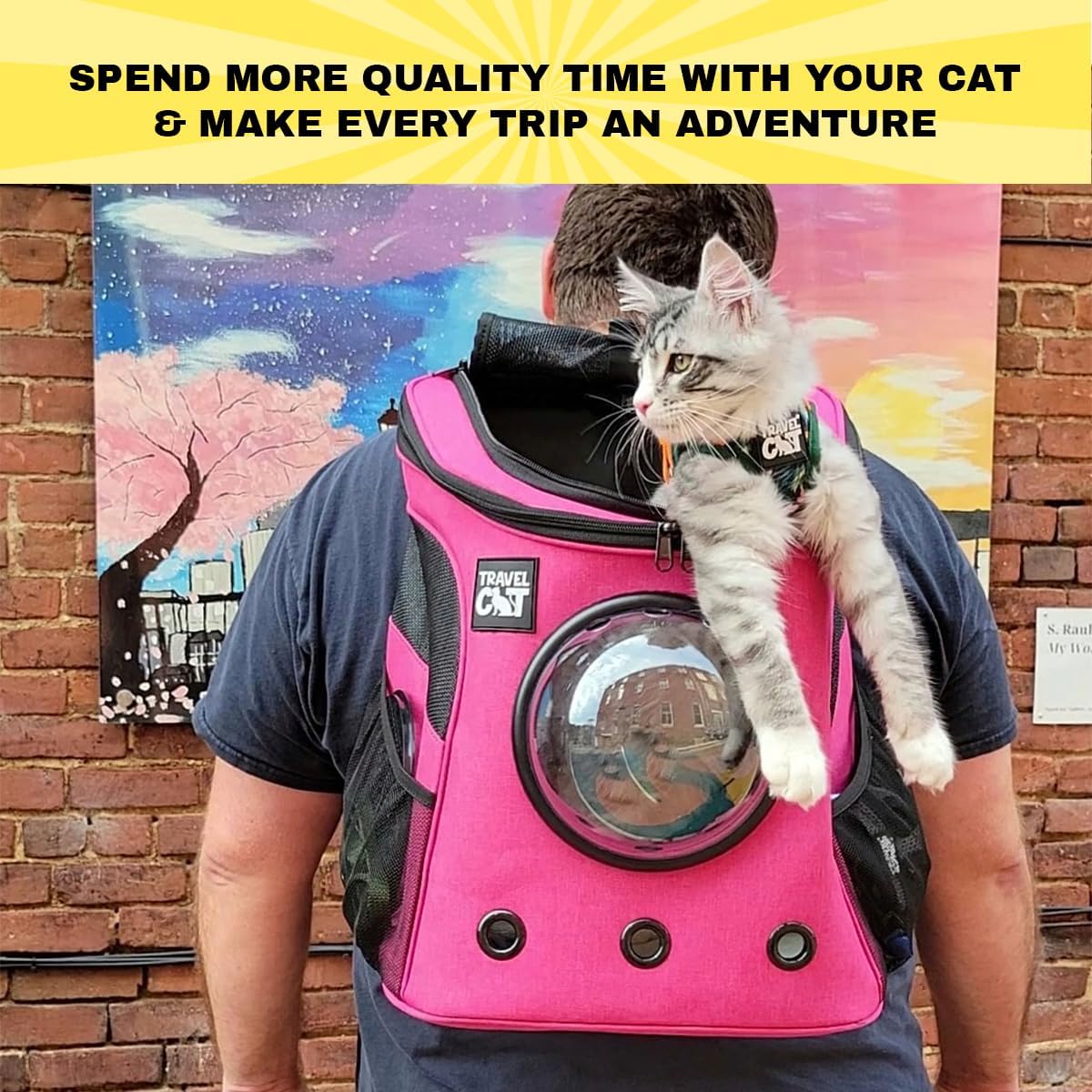 Fat Cat Backpack Carrier - Airline Approved Cat Carrier with Space Capsule Bubble for for Small Cats, Kitten - Premium Deep Rose Pink Cat Carrier Backpack for Outdoor, Travel, Hiking, Pet Supplies
