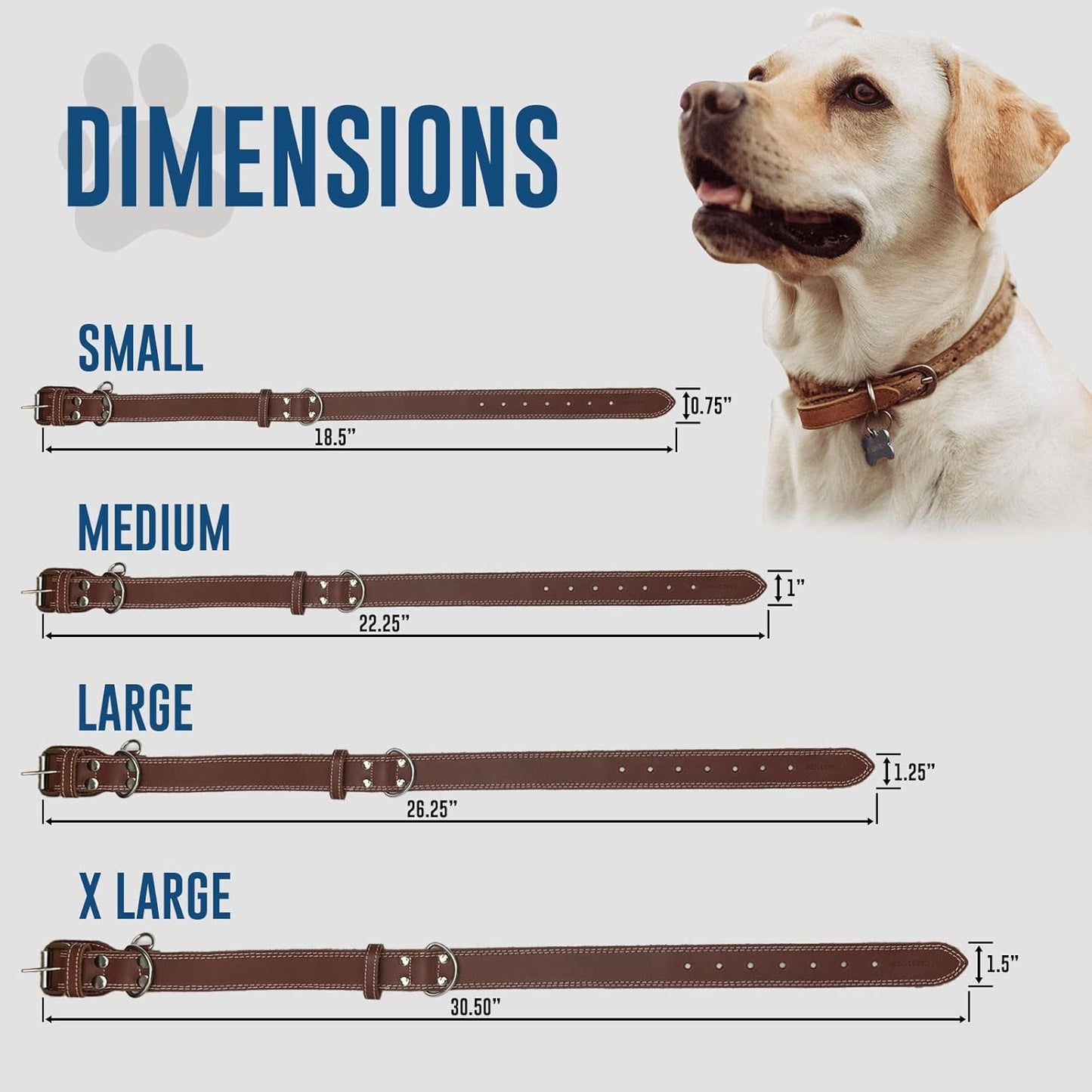 Hides & Knives Leather Dog Collar with Reinforced Hardware, Heavy Duty Dog Collars for All Breeds, Made of Top Grain Genuine Leather That is Soft & Durable (Brown, MD)