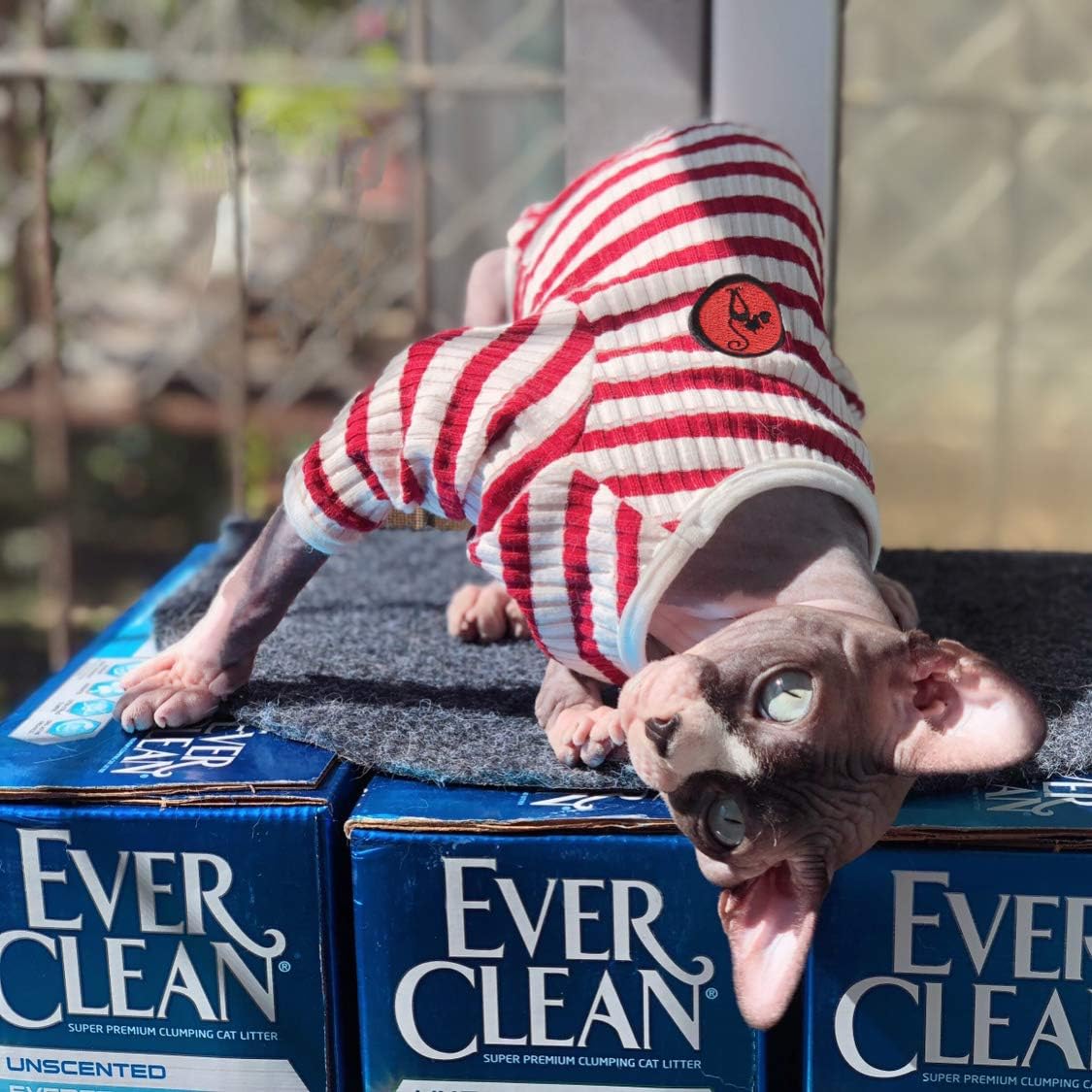 DENTRUN Hairless Cats Shirt Breathable Cat Daily Wear Clothes Stripe Vest Adorable Pajamas Jumpsuit Soft & Skin-Friendly