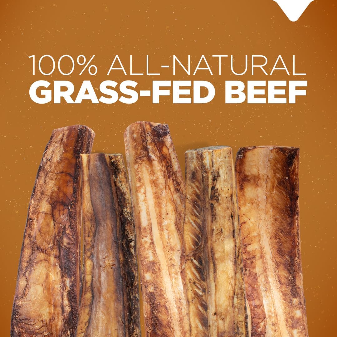 Natural Farm Rib Bones for Dogs (6 Inch, 8 Pack) - Beef Ribs for Dogs, Farm-Raised Cattle - Slow-Roasted Flavor - Low Odor for Indoor, Outdoor Chewing - Promotes Dental Health