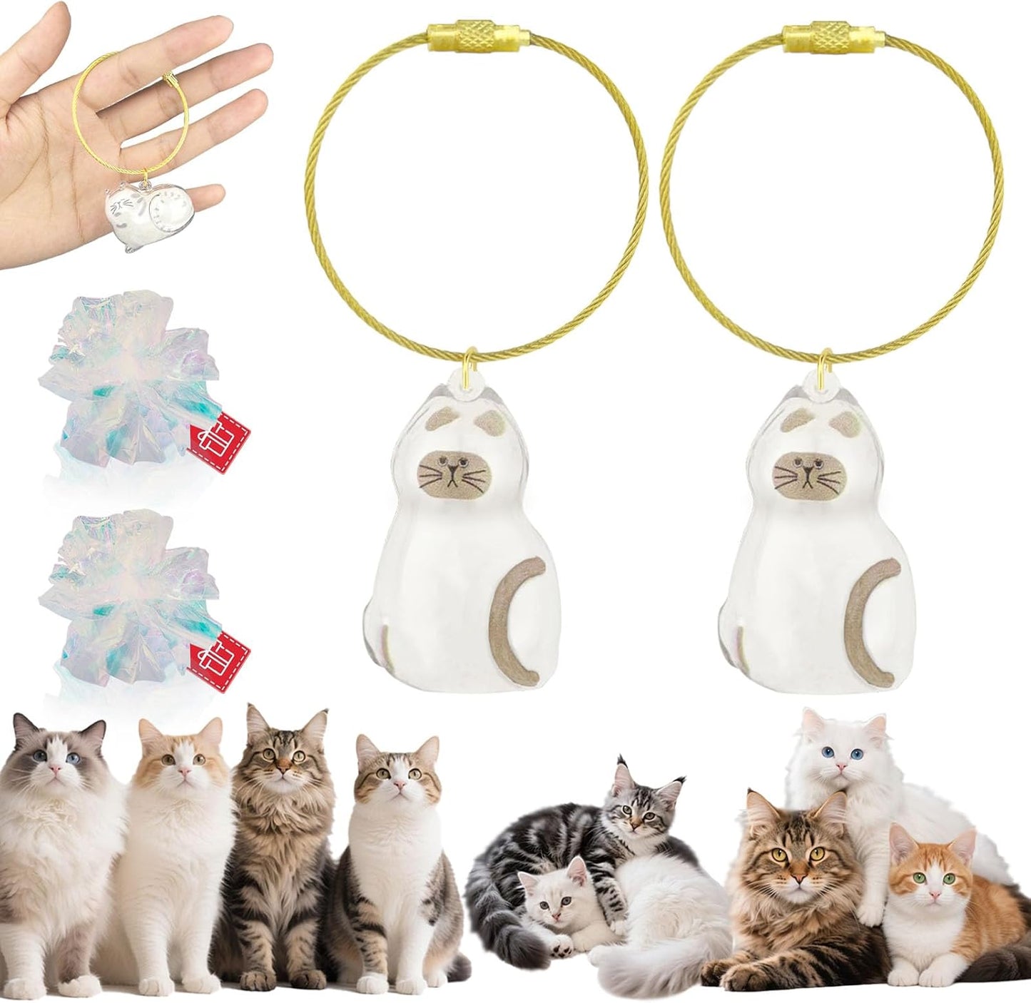 Cat Hair Keychain, 2Pcs Cat Hair Storage Bottle，Pet Fur Keepsake,Pet Hair Storage/Memorial Keychain,Cute Pet Memorial Gifts,[D Model]