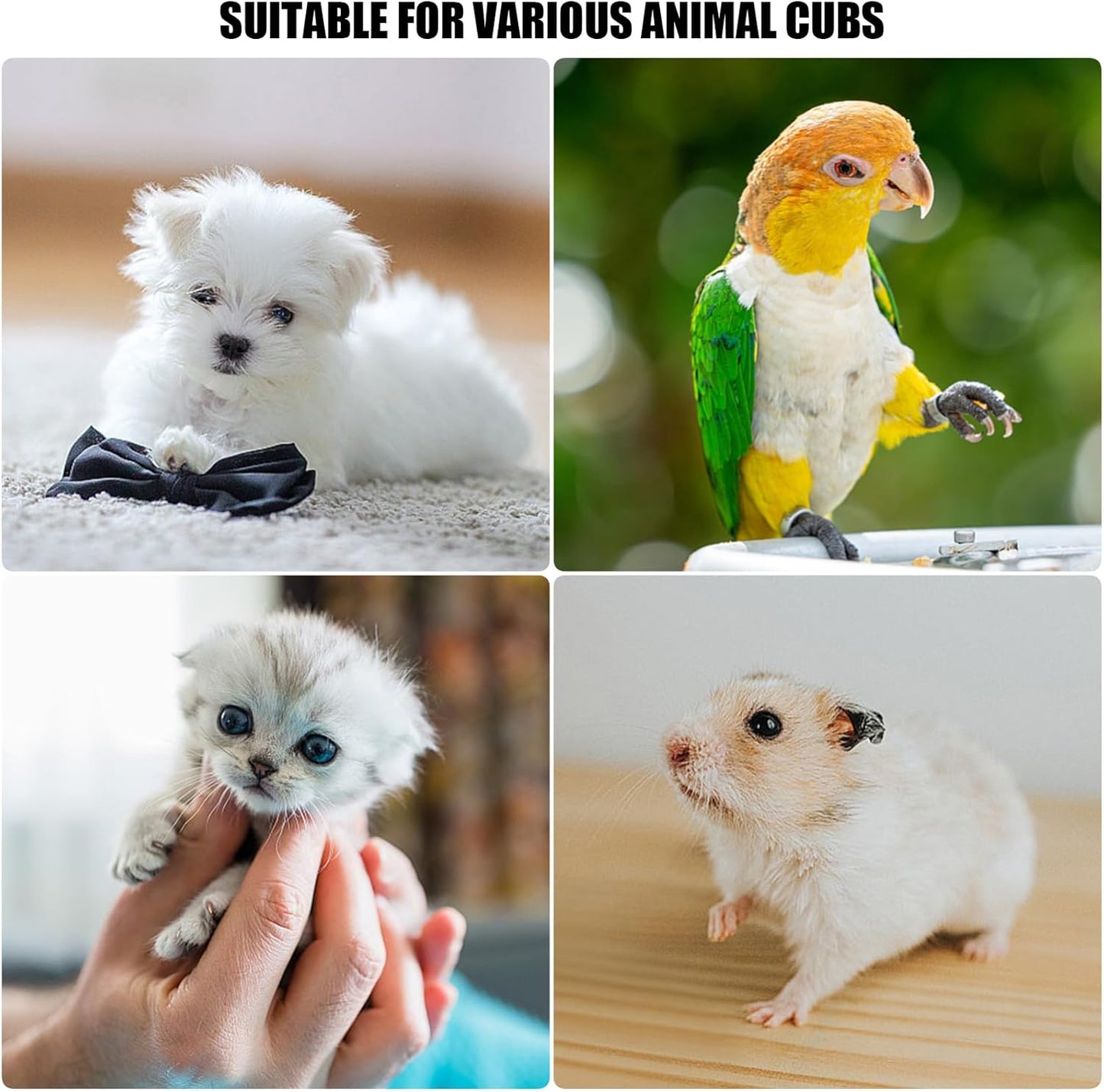 Baby Bird Feeding Syringe Set, Pet Parrot Milk Feeding Syringe with Tubes, Parrot Feeding Tubes Measuring Tools for Feeding Pets Scientific Industrial Labs… (20ml + 2 spoons)