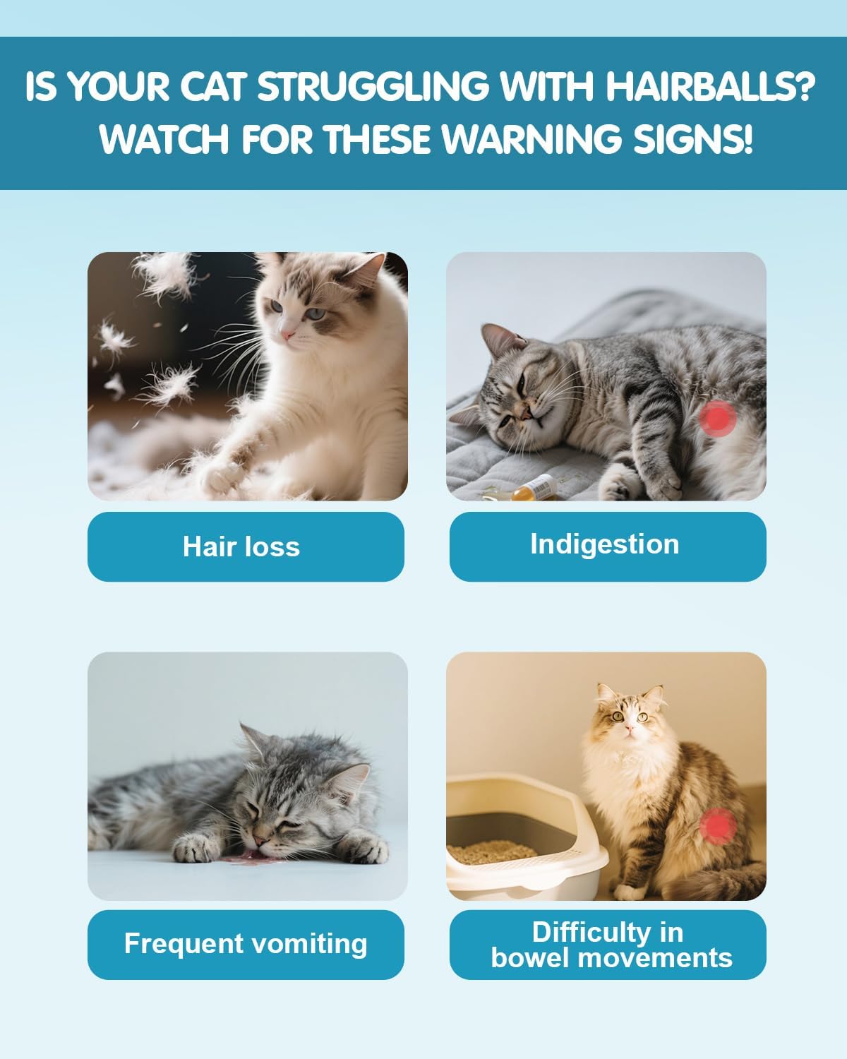 Hairball Treatment for Cats,Cat Hairball Remedy,Hair Ball Relief,Feline Digestive Support Supplement with Enzymes,Fiber & Psyllium Husk–Natural Constipation Relief (Cat Grass Flavor/2floz)