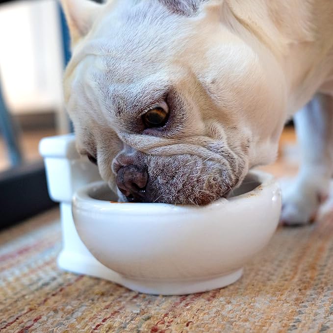 Toilet Shaped Bowl for snacks, pet food dish, cereal, water, ramen - 7 inches