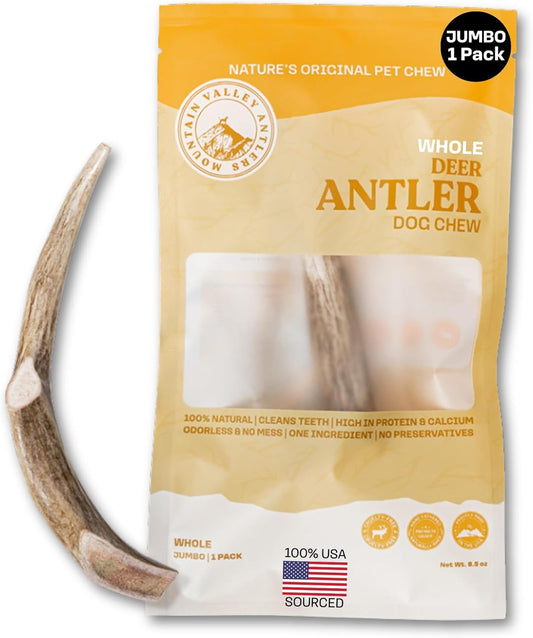 Mountain Valley Deer Antlers for Dogs - 100% Natural & Organic Chew for Aggressive Chewers, No Odor, No Mess, Long Lasting - Wild-Foraged Naturally Shed Antlers in USA - Grade A, Whole Jumbo (1 Pack)
