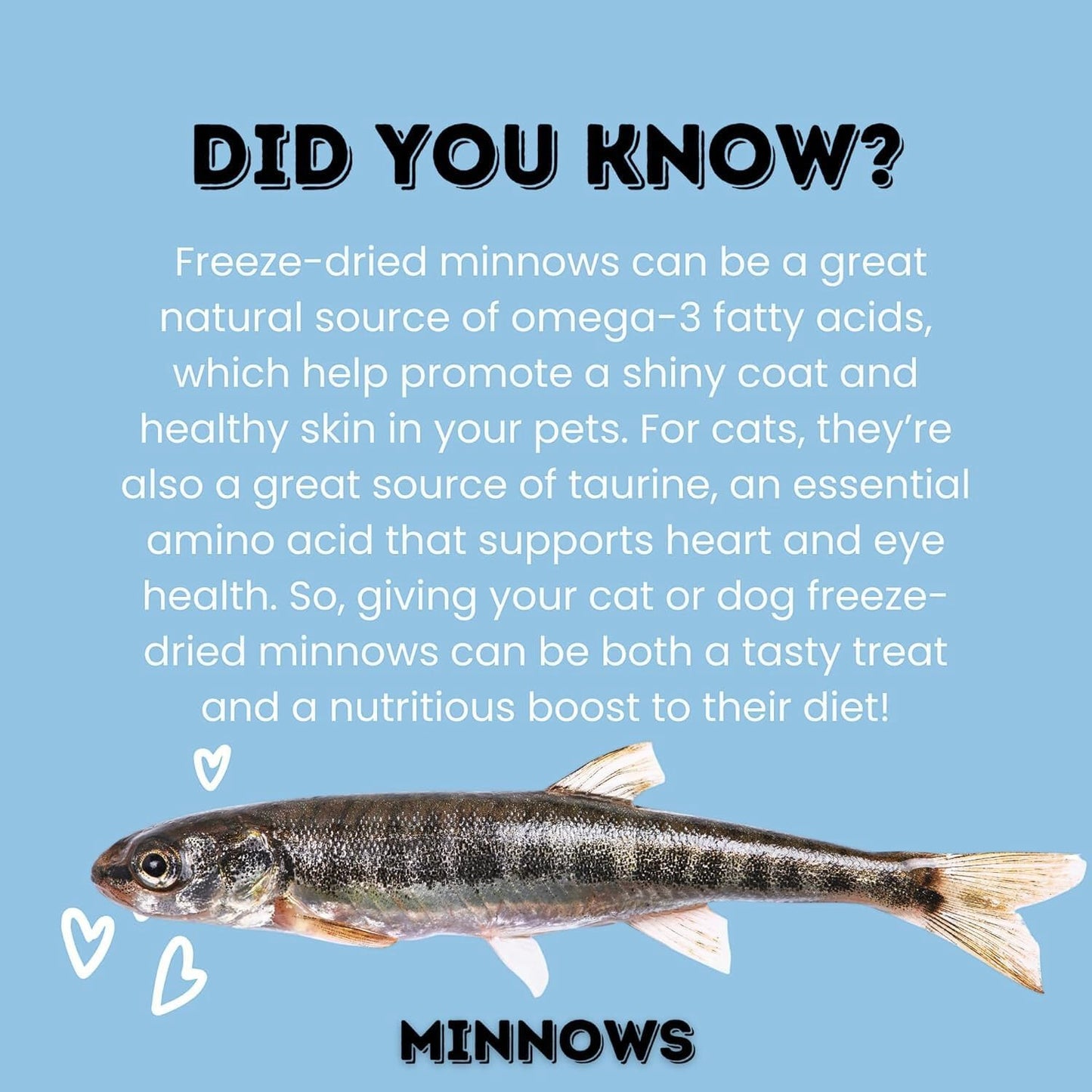 hotspot pets Freeze Dried Minnows Treats for Cats & Dogs (1 Pound Bag Over 1800 PCS!) (Made in USA) All Natural, High Protein, Rich in Omega-3s, Grain-Free,Perfect for Training, Topper or Snack