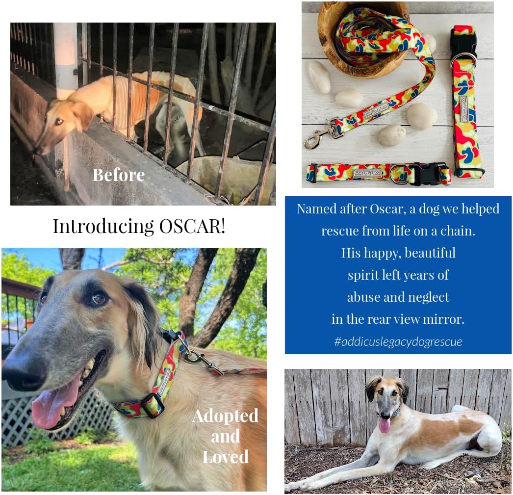 Lucky Love Dog - Adjustable Dog Collar and Leash Set with Easy Click Buckle for Small to Large Dogs, Durable, & Comfortable Collar for Male & Female Dogs, Puppies & Adult Ones - Oscar Combo, Large
