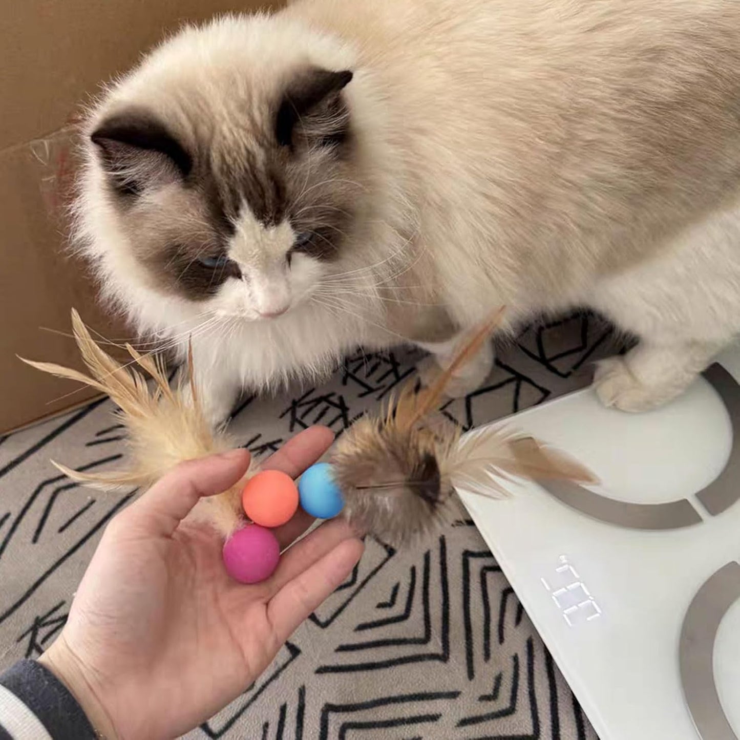 Cat Toys Balls with Feathers, 3 Pcs Interactive Cat Bouncy Balls for Indoor Cats and Playful Kittens, Rubber Kitten Ball Toys for Interactive Playing, Chase Training and Hunting Exercise