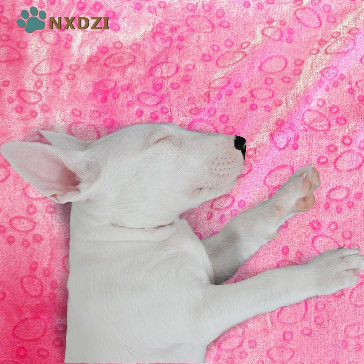 Dog Blankets for Medium Large Dogs Washable, 3 Pack Pet Blanket Washable 41" x 31", Fuzzy Soft Puppy Throw Cover for Kennel Crate Bed