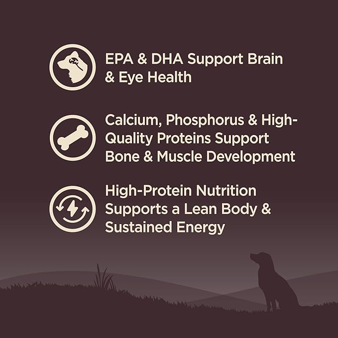 Wellness CORE Puppy Dry Dog Food, Small Breed, Grain-Free, High Protein, Natural, Turkey & Salmon Recipe, (12-Pound Bag)