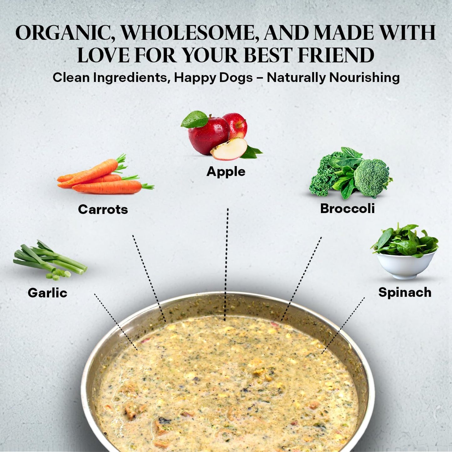 Healthy Dogma - PetMix Dehydrated Dog Food, Clean Ingredient Food - No Preservatives, Homemade Dog Food (Super Green, 2 lbs)