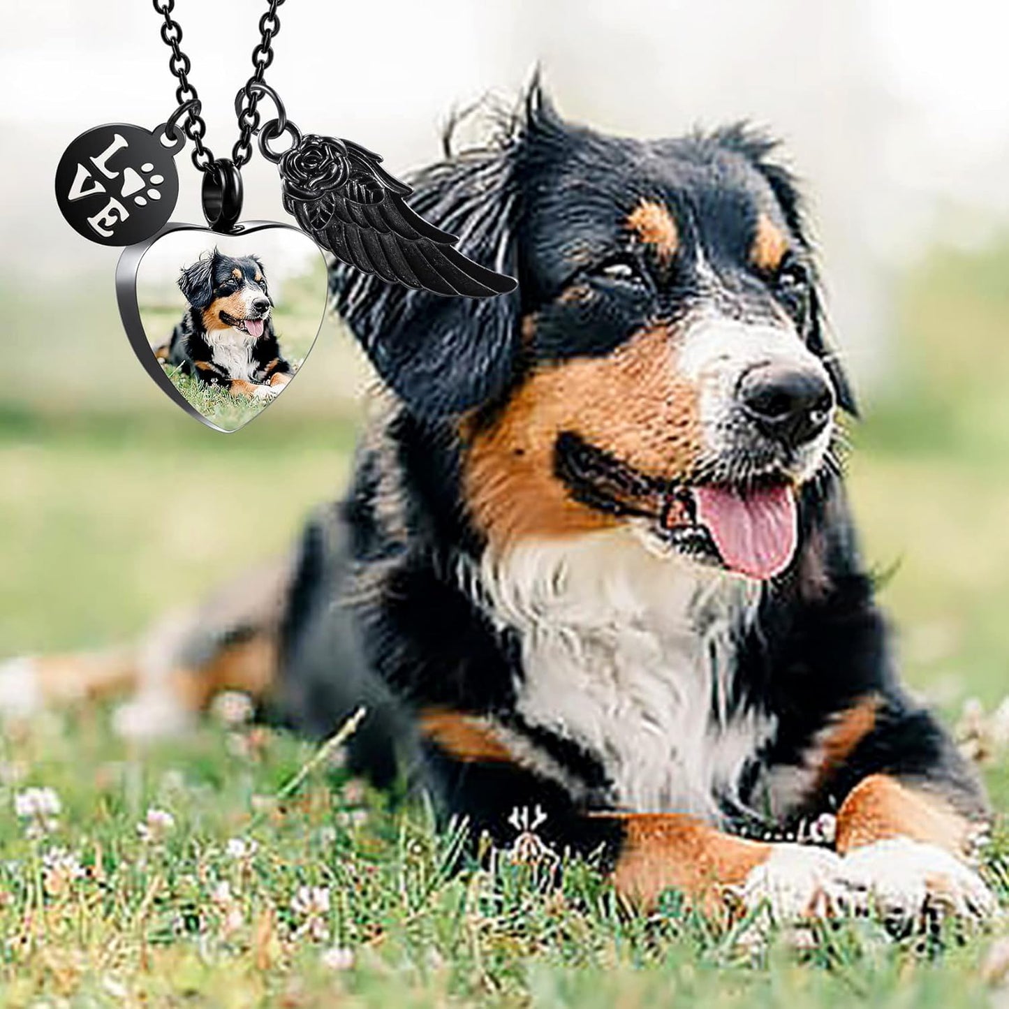 Personalized Urn Necklace for Pet Ashes Custom Photo/Name/Date Paw Print Pendant for Women Men Cremation Jewelry Memorial Keepsake for Dog/Cat/Pet Urn Necklace with Funnel Fill Kit