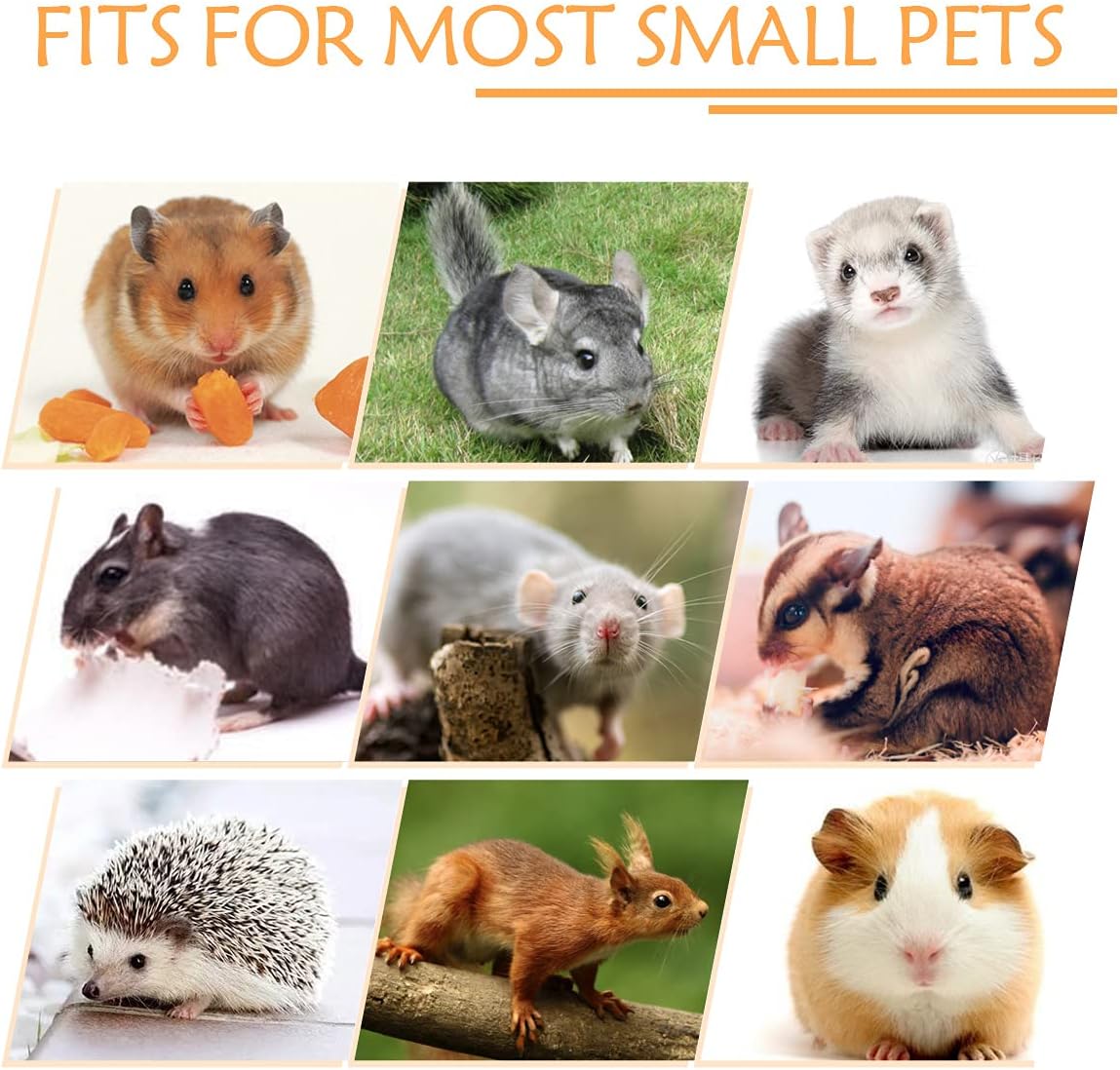 LEFTSTARER Guinea Pig Ferret Rat Hammock Toy Small Animal Cage Accessories Hideout Tunnel & Bunkbed Hammock for Rat Ferret Guinea Pig Hamster Sugar Glider Chinchilla (Star-Green)