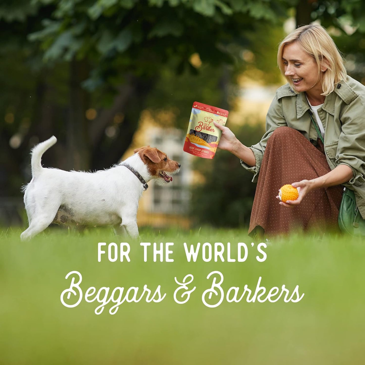 Beg & Barker Beef Liver Jerky for Dogs (10 Ounce, Pack of 2) - Dog Training Treats - Natural Dog Treats Made in The USA - Grain Free, Diabetic-Friendly, High Protein, Sugar-Free