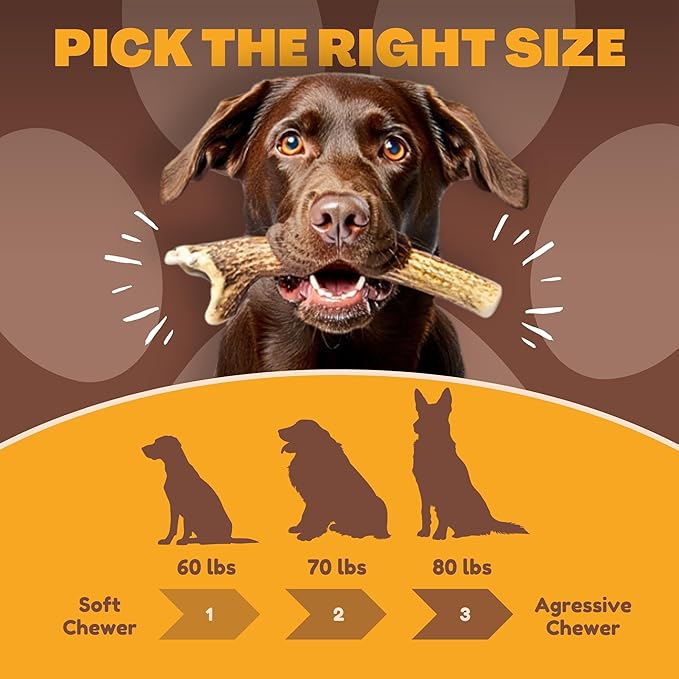 WhiteTail Naturals (3 Pack Deer Antlers for Large Dogs, Antler Dog Chews - Crafted in USA Dog Antler - Long Lasting Bone for Aggressive Chewers