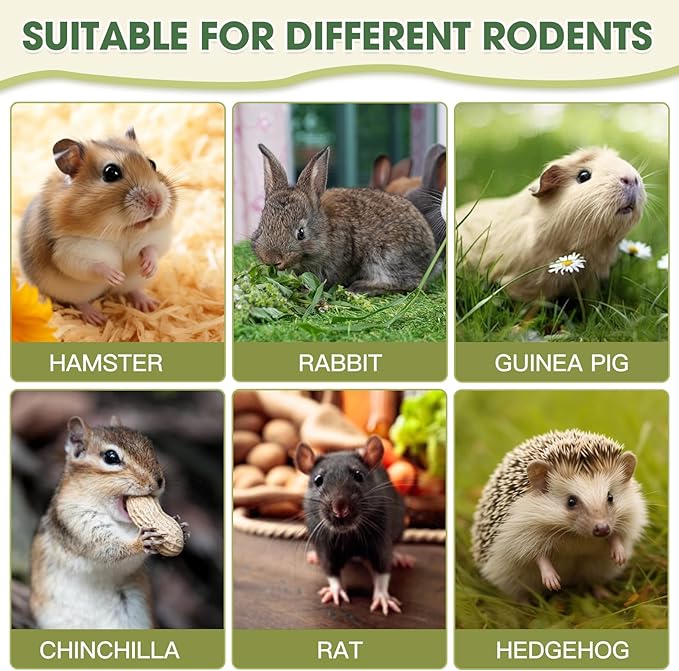 Natural Reedgrass Chew Toy Basket for Small Pets – Hanging Rodent Dental Toys with Hay Lollipop, Apple Sticks, Sweet Bamboo (Hamsters, Rabbits, Chinchillas, Guinea Pigs)