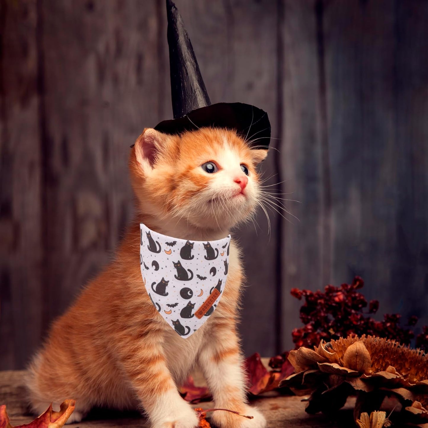 ADOGGYGO Halloween Cat Bandanas 2 Pack, Bat Ghost Cat Scarf, White Orange Pet Halloween Bandanas for Cats Kittens