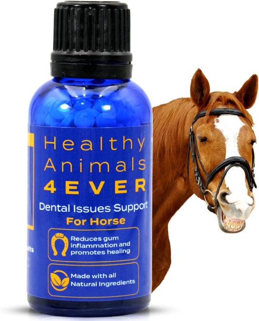 Healthy Animals 4Ever All-Natural Horse Dental Health Support - Maintains Strong, Healthy Teeth & Bones - Dental Supplements for Horses - Homeopathic & Highly Effective - 300 Tablets