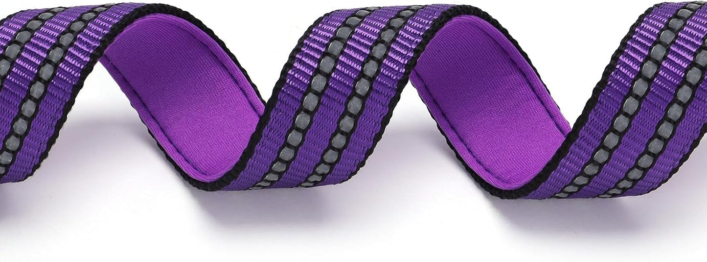 Martingale Collar with Chain，Stainless Steel Chain for Dogs, No Pull Slip Cinch Choker Choke Collar Training Escape Proof Heavy Duty Dog Collar for Small Medium Large Pet Boy Male Dogs，Purple M