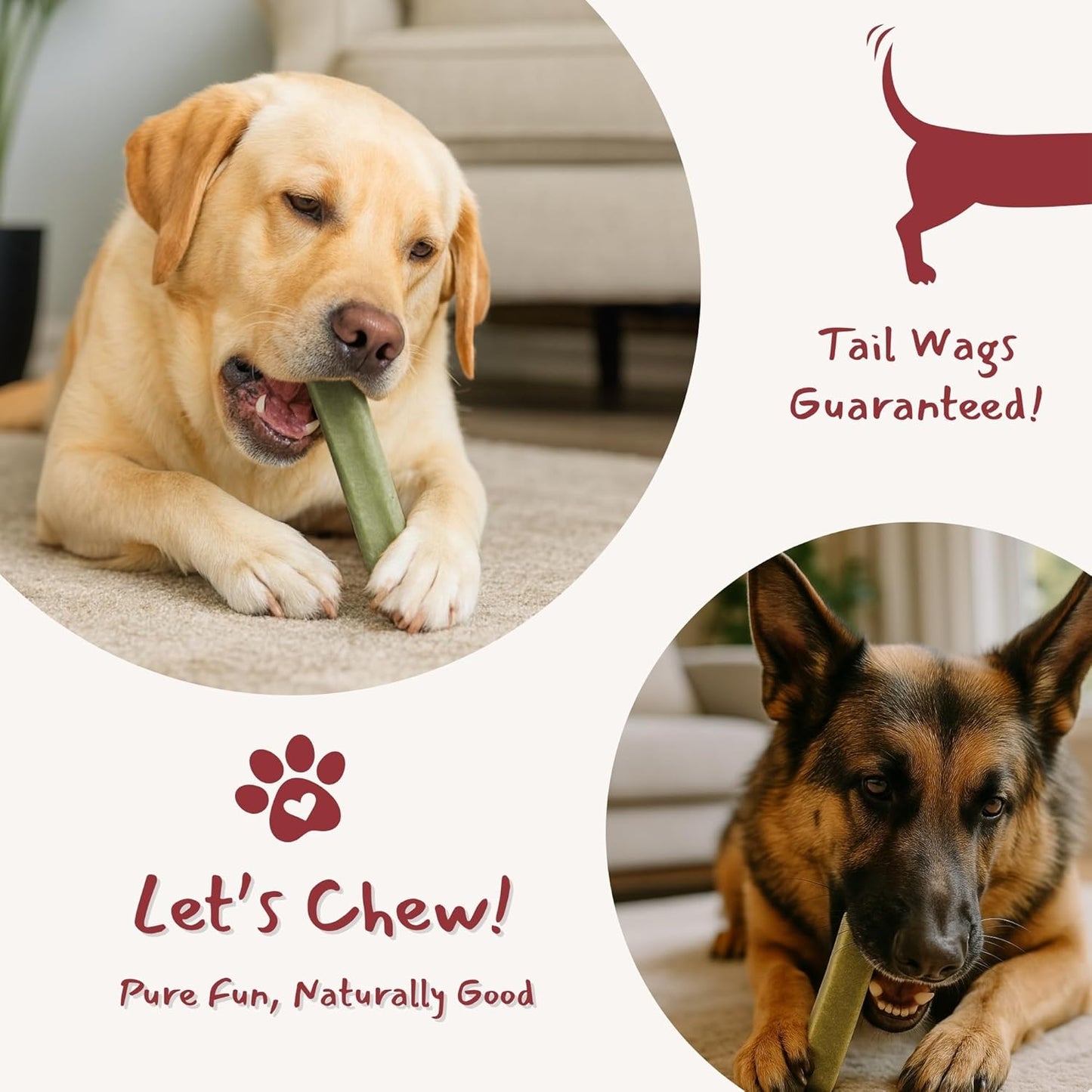 Majestic Pet Himalayan All-Natural Yak Cheese Dog Chews Made with 100% Cows Milk- Long Lasting Dental Chew for Dogs - Healthy Pet Treats (Digestive & Immune Support, Large, 1 Pack)