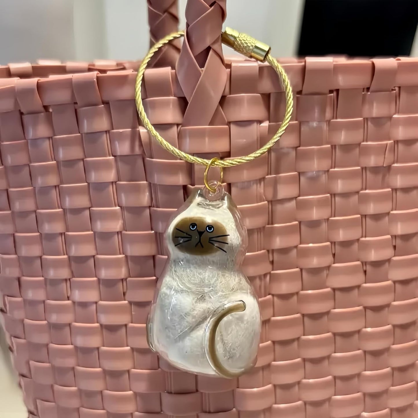 6 Pack Cat Hair Memorial Pendant, Cat Fur Keepsake Capsule Keychain, Clear Acrylic Pet Hair Collection Birhthday Christmas Gift