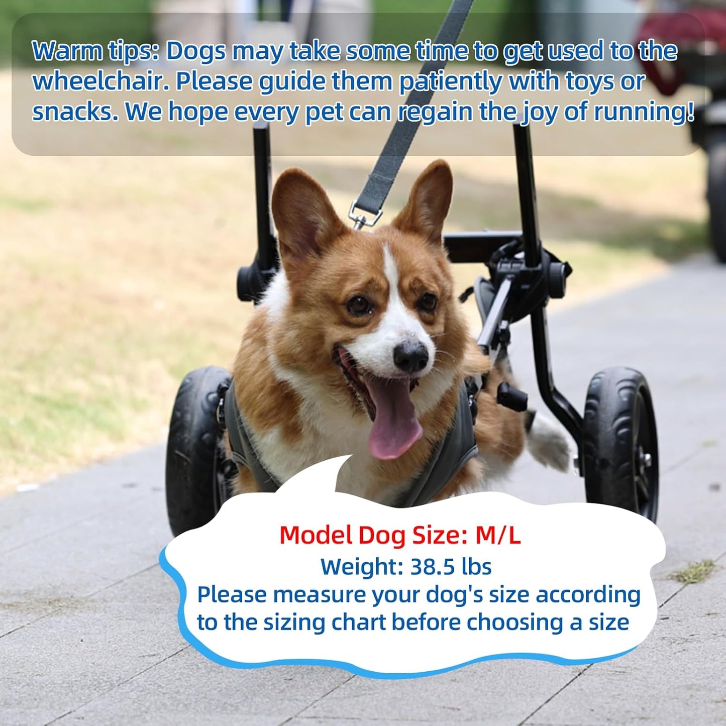 Dog Wheelchair for Back Legs, Light Weight Dog&Cat&Pets Wheelchair Cart with Disabled Hind Legs Walking, Adjustable Doggy Wheelchair Cart with Wheels for Back Legs