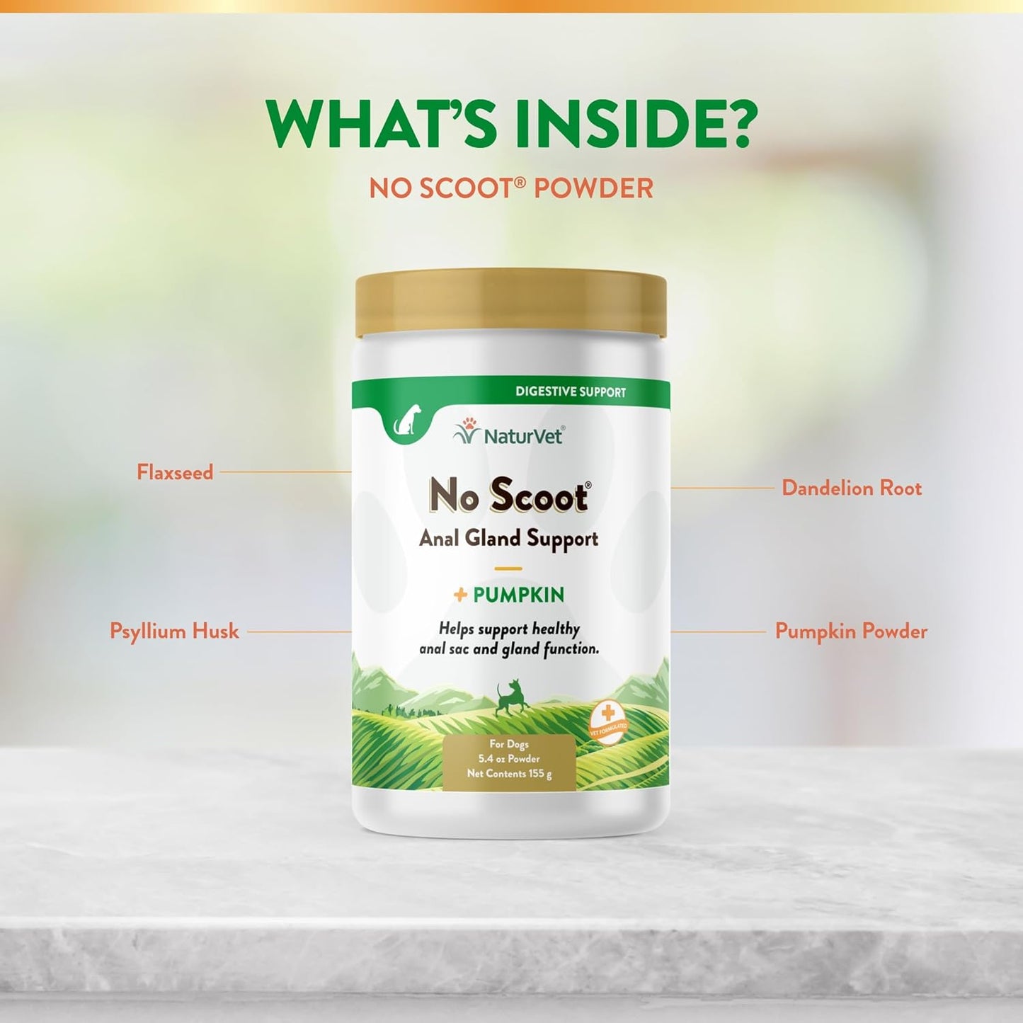 NaturVet - No Scoot for Dogs - Plus Pumpkin - Supports Healthy Anal Gland & Bowel Function - Enhanced with Beet Pulp & Psyllium Husk (5.4oz Powder)