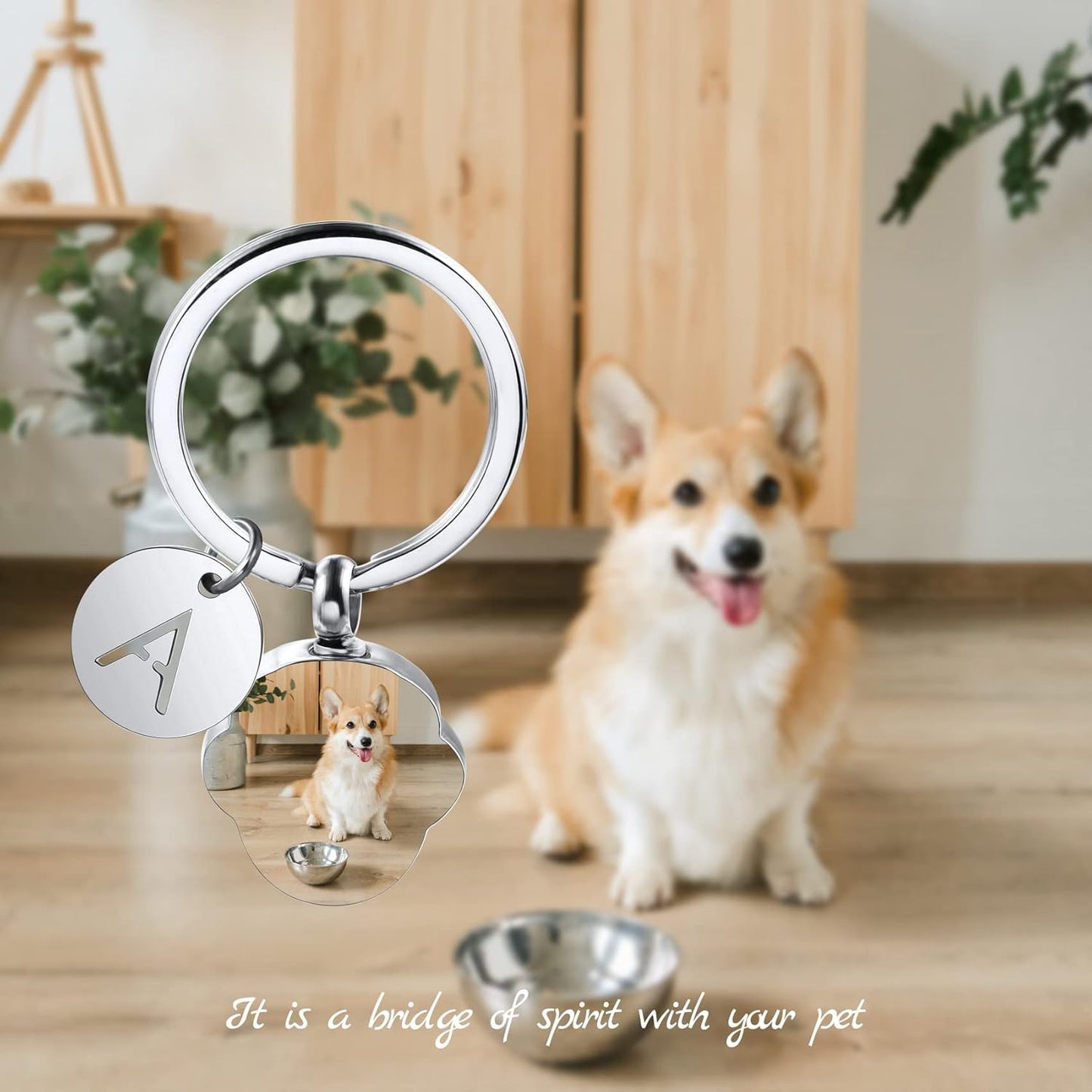 Personalized Cremation Urn Keychain for Pet Human Ashes Custom Photo/Name/Date Dog Cat Paw Print Pendant Stainless Steel Keyring Memorial Keepsake Keychain for Women Men (Style B1)