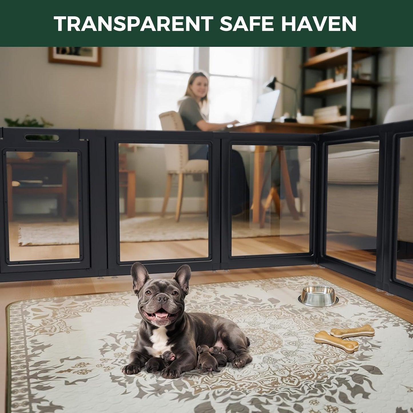 FXW AuraSpace Acrylic Indoor Dog Playpen for Small and Medium Dogs, 30 Inch, 6 Panels, Black