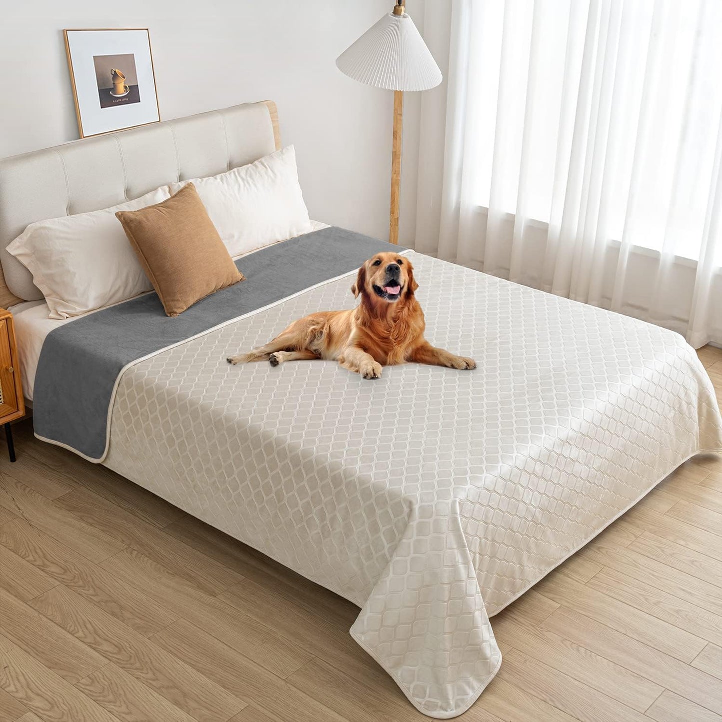 fuguitex Waterproof Dog Blanket Bed Cover Dog Crystal Velvet Moroccan Fuzzy Cozy Plush Pet Blanket Throw Blanket for Couch Sofa(30 * 70 inch, Cream+Grey)