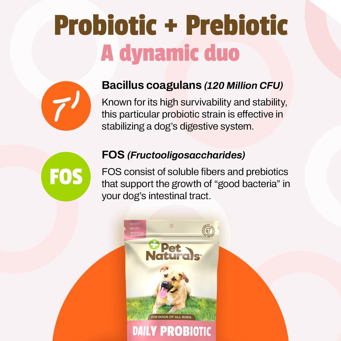 Pet Naturals Daily Probiotic for Dogs, Duck Flavor, 160 Chews - 120M CFUs Pre and Probiotics for Dogs Digestive Health, Gut Health, Immune Support, Diarrhea, Allergies and Itching