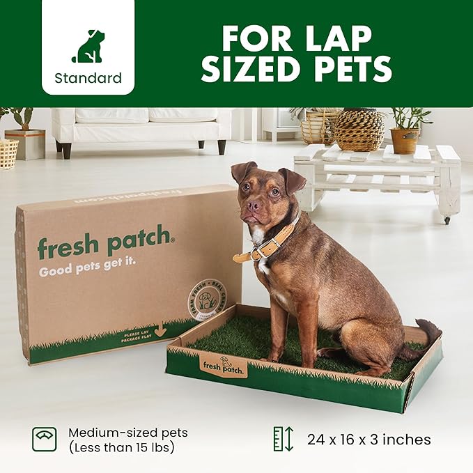 Fresh Patch Real Grass Patch for Dogs, Cats, and Small-Medium Pets Under 15 Pounds – Disposable Pet Grass Pee Pads – Indoor and Outdoor Potty Training Mat (16 Inches x 24 Inches)