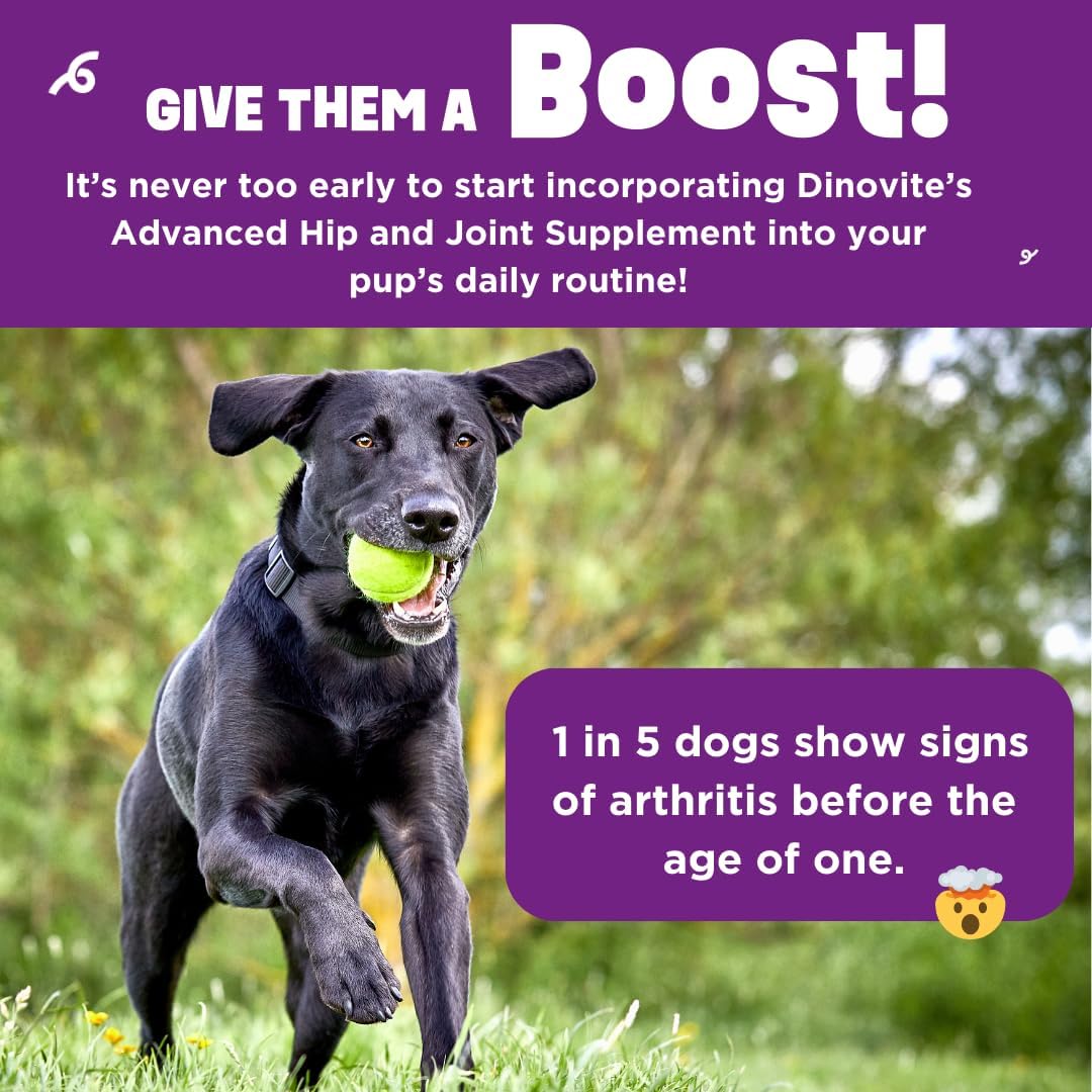 Dinovite BeneBoost Hip & Joint Liquid Topper for Dogs, Dog Joint Supplement with Glucosamine, Chondroitin, MSM & Hyaluronic Acid, Dog Mobility Support, Bacon Flavor, 6 fl oz