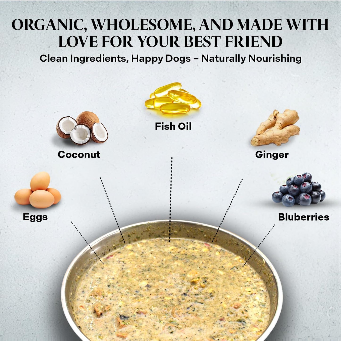 Healthy Dogma - PetMix Dehydrated Dog Food for Allergies, Joint Support & Mobility - Grain Free, Raw, Homemade Dog Food (Skin & Coat, 10 lbs)