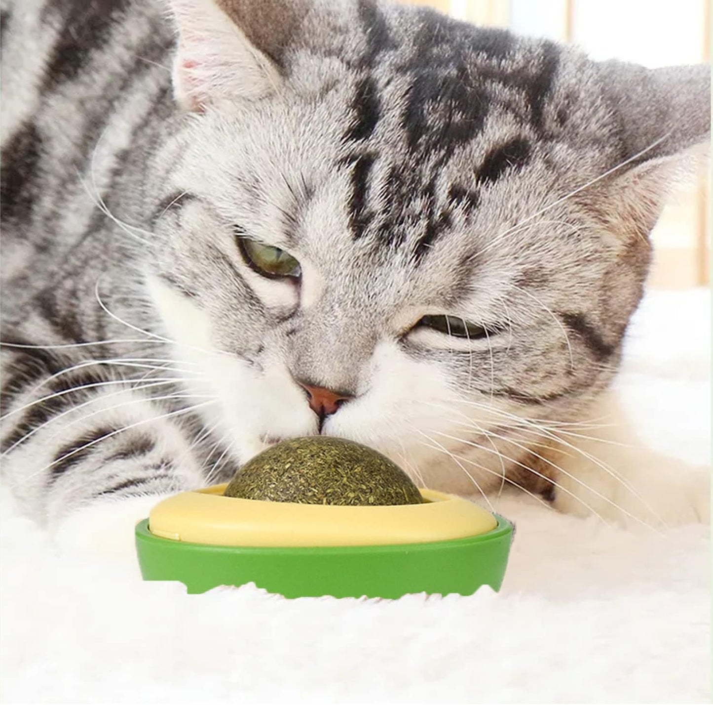 Catnip Ball Toy Wall Treats, 3 Pack Silvervine Toys for Indoor Cats, Teeth Grinding Chew Cleaning Roller Exerciser Interactive