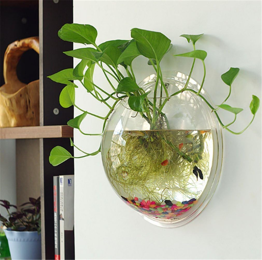 Hanging Wall Mounted Fish Bowl Betta Tank Aquarium Wall Decor Plant Fish Bubble - Clear (Medium)