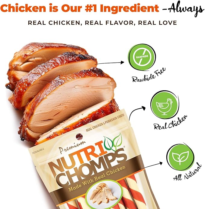 NutriChomps Dog Chews – 5-inch Twists, Easy to Digest, Rawhide-Free Dog Treats, Healthy, 10 Count, Real Chicken Flavor, Bundle of 2 (NT062V-2)