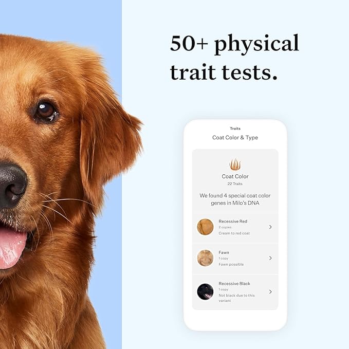 Wisdom Panel Essential Dog DNA Kit: Most Accurate Test for 365+ Breeds, 30 Genetic Health Conditions, 50+ Traits, Relatives, Ancestry - 2 Pack