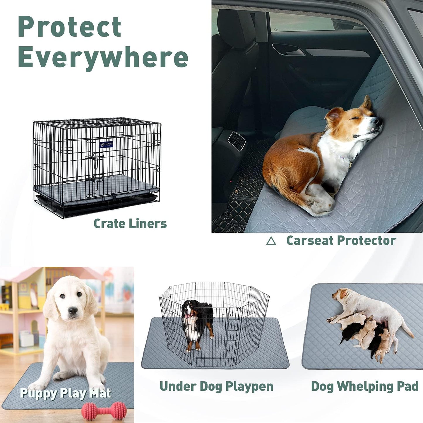 Eterish Reusable Washable Pee Pads for Dogs Extra Large 48'' x 60'' 2 Pack, Absorbent Pet Puppy Dog Training Pads Non-Slip, Waterproof Whelping Potty Pads for Dogs Leak-Proof